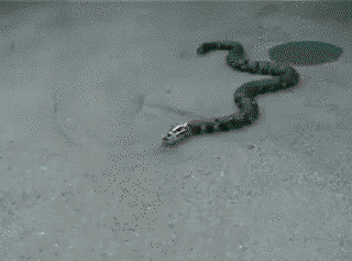 Mechanical snake - why? Why engineers?