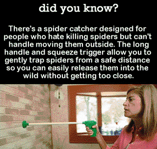 Spider catcher