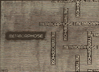 M.C. Escher - metamorphosis