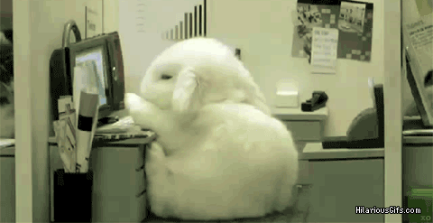 Work like a bunny