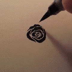 Drawing a rose
