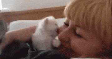 Kitten kisses