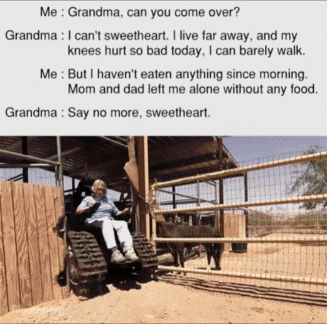 Granny to the rescue