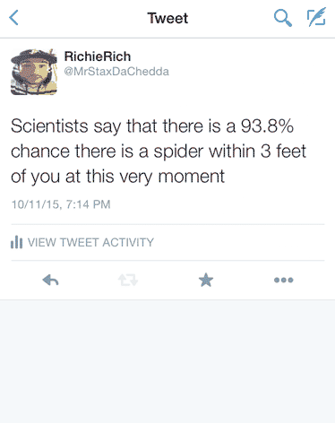 There's a 93.8% chance a spider is here