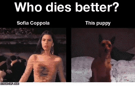 Who sofia or puppy?