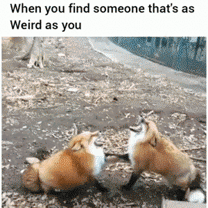 Finding someone weird as you