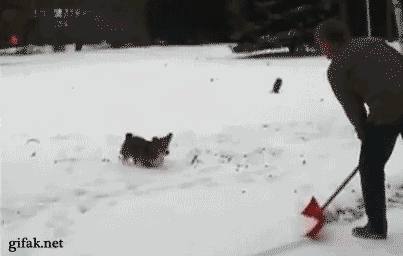Playing with snow