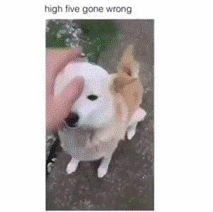High five gone wrong