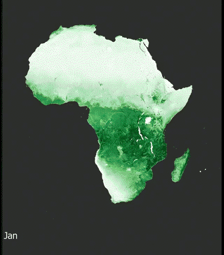 Vegetation intensity throughout the year in Africa