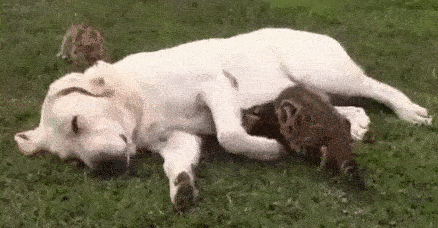 cuddle time :)
