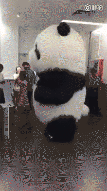When you're a panda and work in an office building