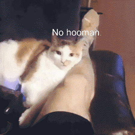 I said no hooman