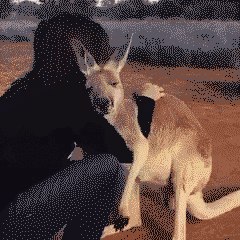 The best kind of hug is a kangaroo hug