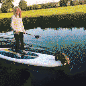 Dog paddle