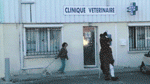 Veterinary clinic