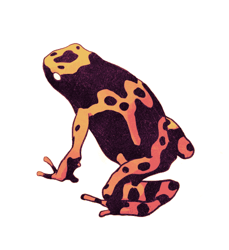 Froggo Fun #203 - Frogschach
