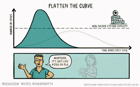 Flatten the Curve!