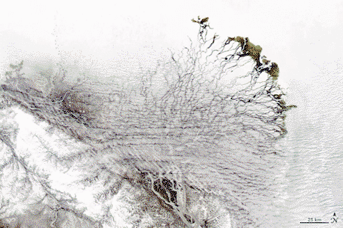 The transformation of the Lena River Delta, seen from space