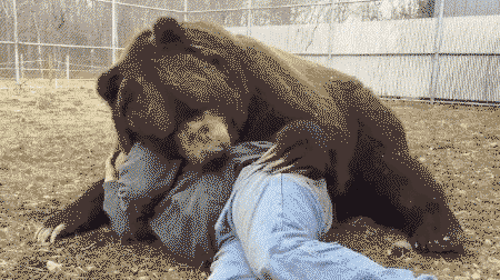 Bear cuddling its human friend!