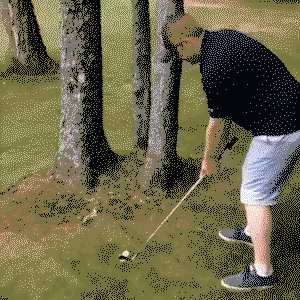 Golf shot between trees