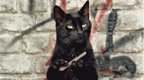 Cool Cat Sharpening Its Claws Like A Boss - Gif