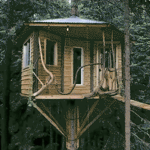 Hipster treehouse life