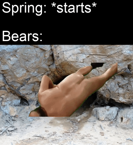 Warm up the bear spray