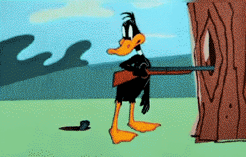 Daffy duck wildin