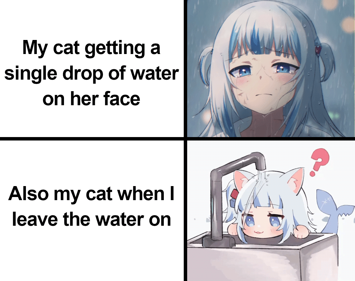 Cat Got the Drip
