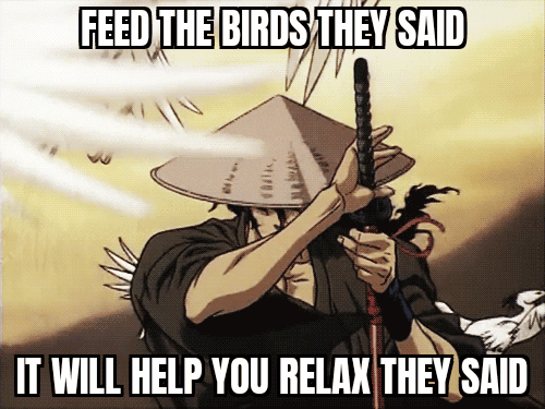 Don't feed the birds