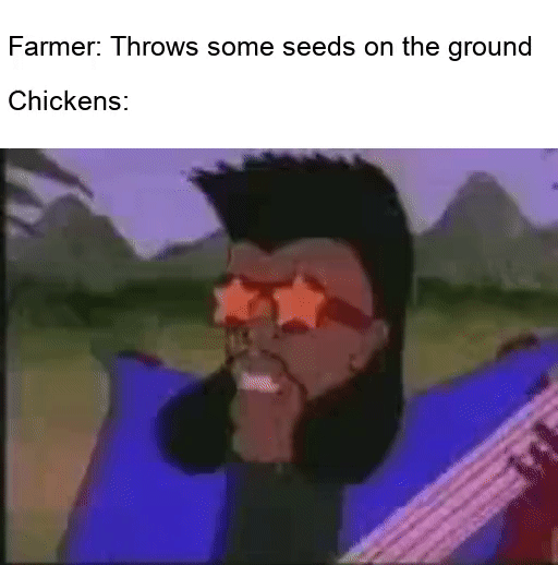 A chicken meme