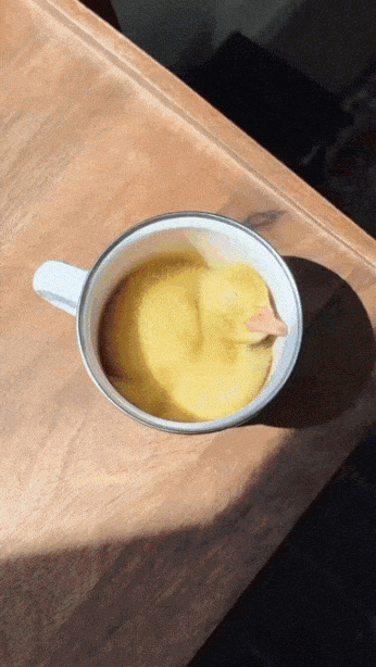 May I Offer You a Cup of Duck?