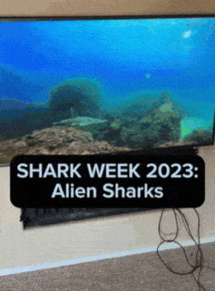 Shark Attack '23 #12 - Aliens Confirmed