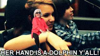 It's a dolphin, y'all !