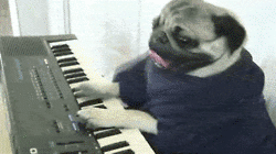 "Yeah, of course I can play piano!"