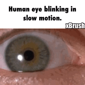 Eye blinking in slow motion