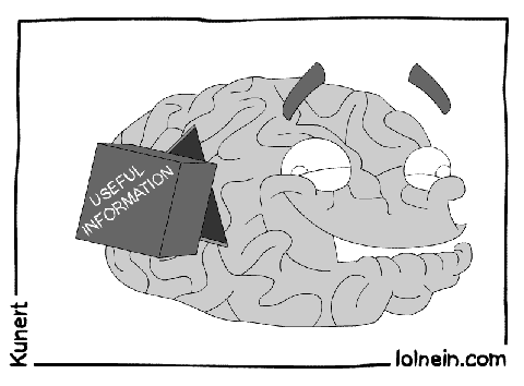 Brain vs. Useful information
