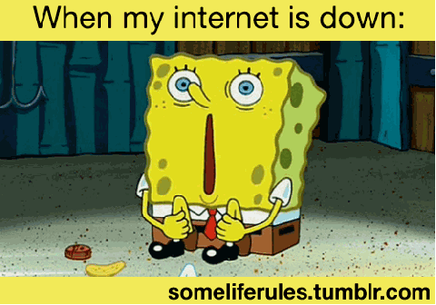 my internet went down for an hour and i spent the whole time like this