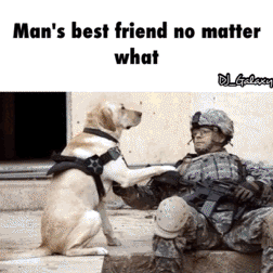 Man's best friend no matter what....