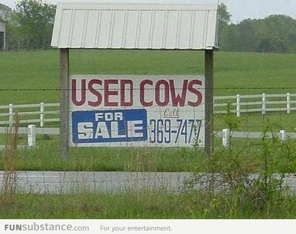 Used Cows