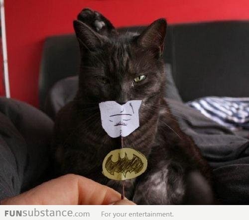 I am Batman