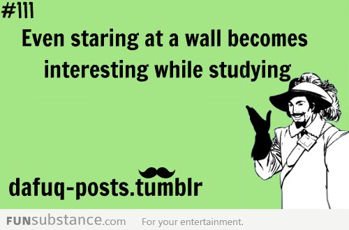 even staring at walls is more fun