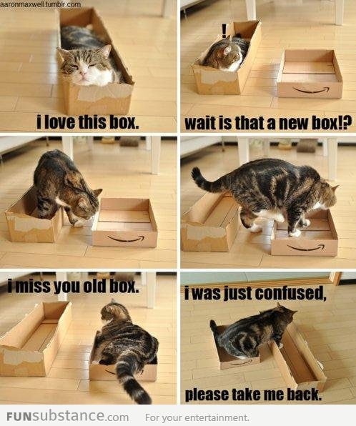 A love story with a cat and two boxes