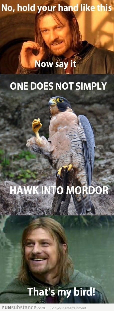 Boromir's pet bird