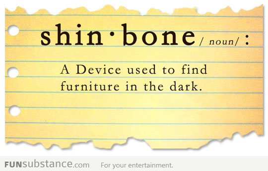 Definition of Shinbone