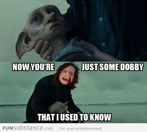 Bye Dobby...
