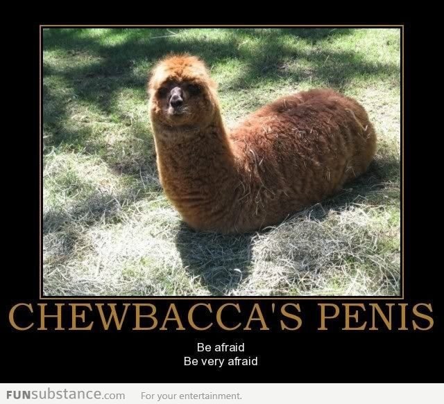 Chewbacca's pen*s