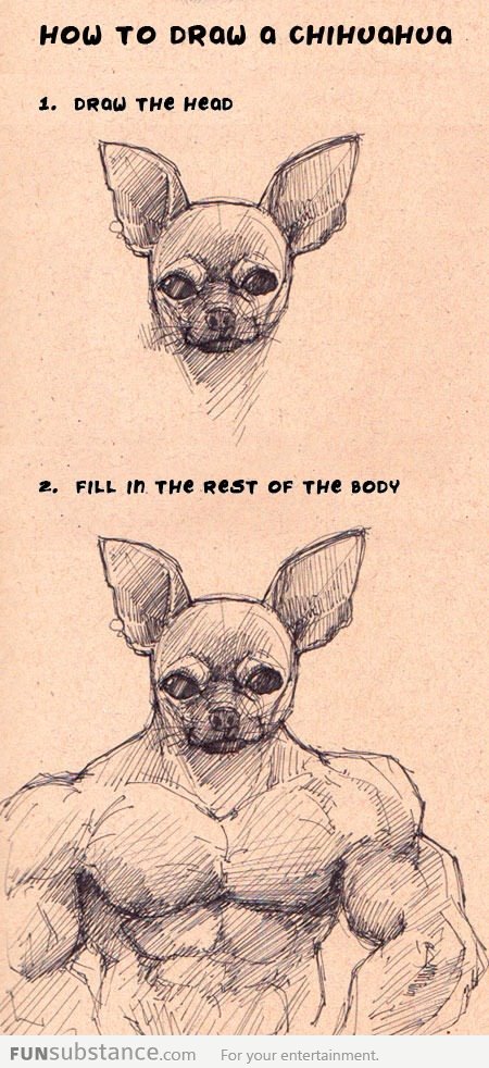 How to draw a chihuahua