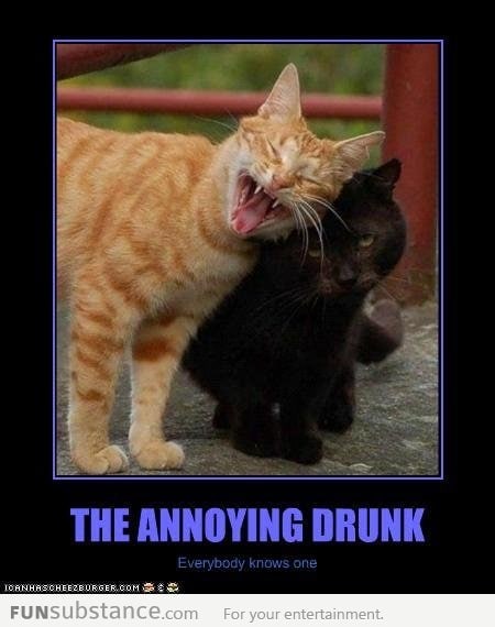 The Annoying Drunk...