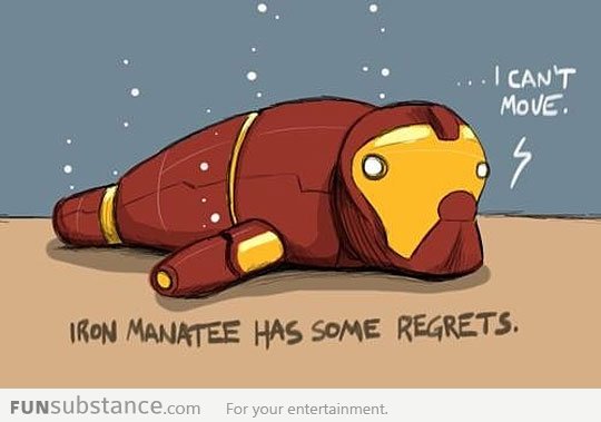 Iron Manatee